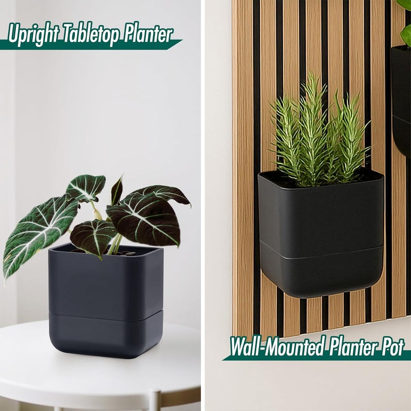 Phoenix Vine 6.5-Inch Wall Mounted Self-Watering Planter Pot for Indoor Houseplants and Herbs | Modern Hanging Planter for Window Sills, Bathroom Walls, Home & Office Décor, Black, Set of 1, 01-WP-B-1 - Image 2